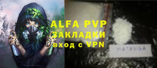 дживик Белокуриха