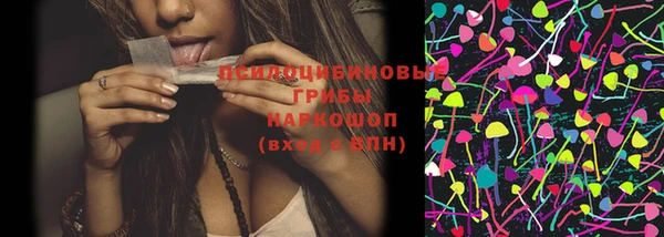 ГАЛЛЮЦИНОГЕННЫЕ ГРИБЫ Баксан